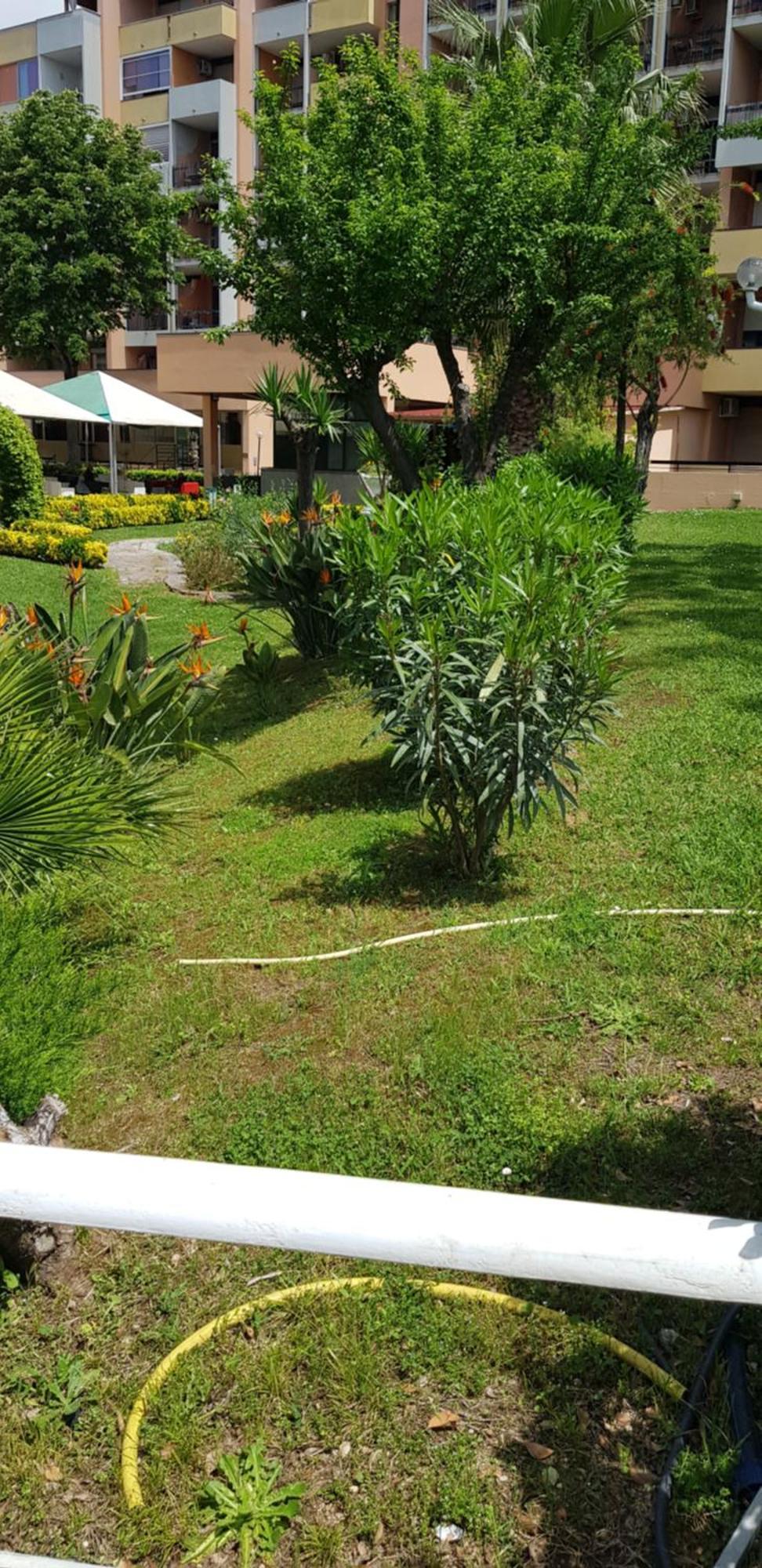 Green Oasis Ρώμη Εξωτερικό φωτογραφία
